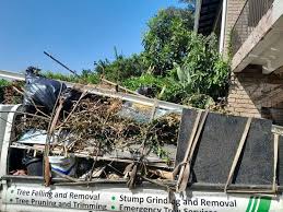 Best Demolition Debris Removal  in Lihue, HI