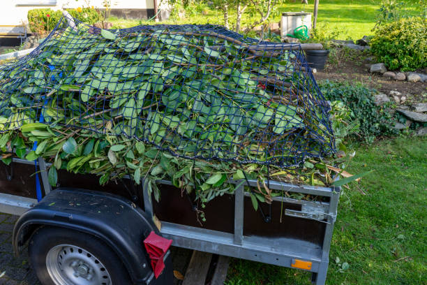 Moving and Downsizing Cleanouts in Lihue, HI